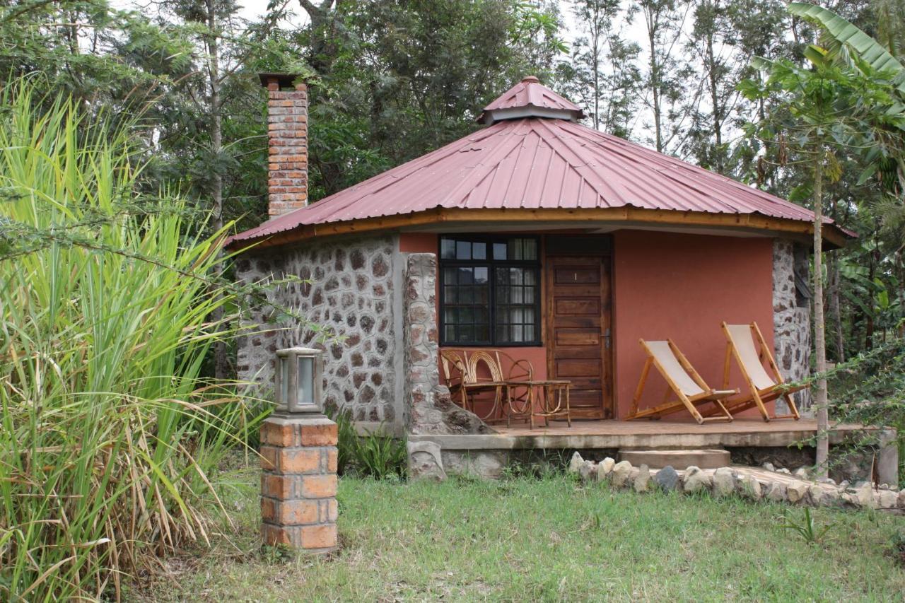 Kiboko Lodge Usa River 객실 사진