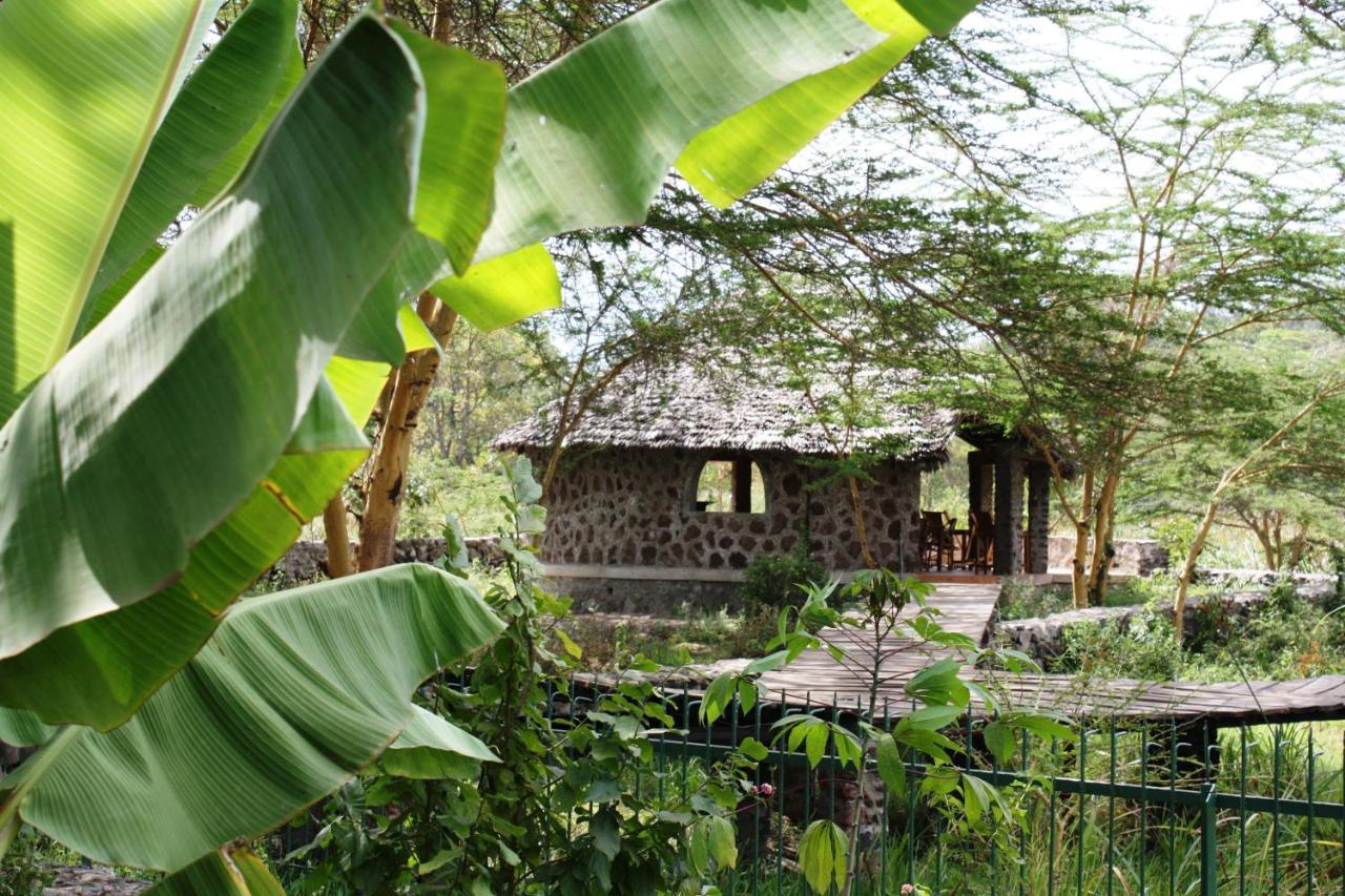 Kiboko Lodge Usa River 외부 사진