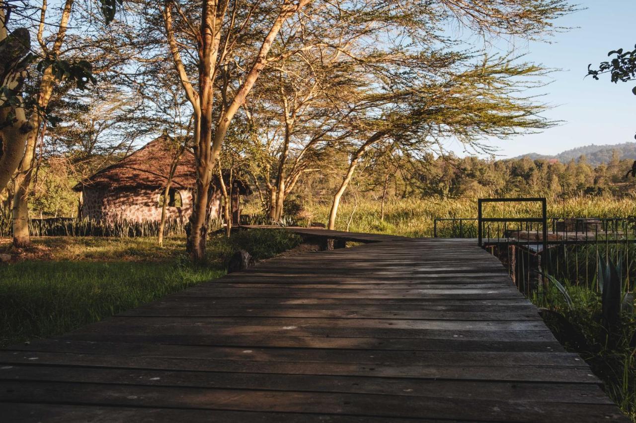Kiboko Lodge Usa River 외부 사진